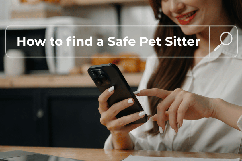 How to find a Safe Pet Sitter in Australia