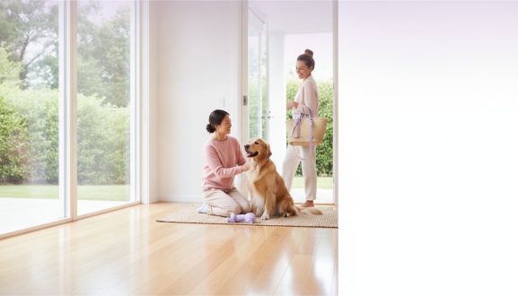 Weekend Pet Sitting: The Ultimate Guide to a Stress-Free Getaway in 2026