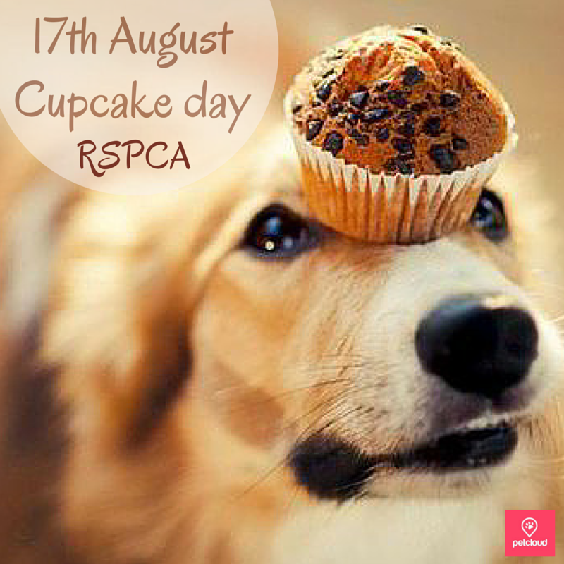 What are you baking on Cupcake Day?