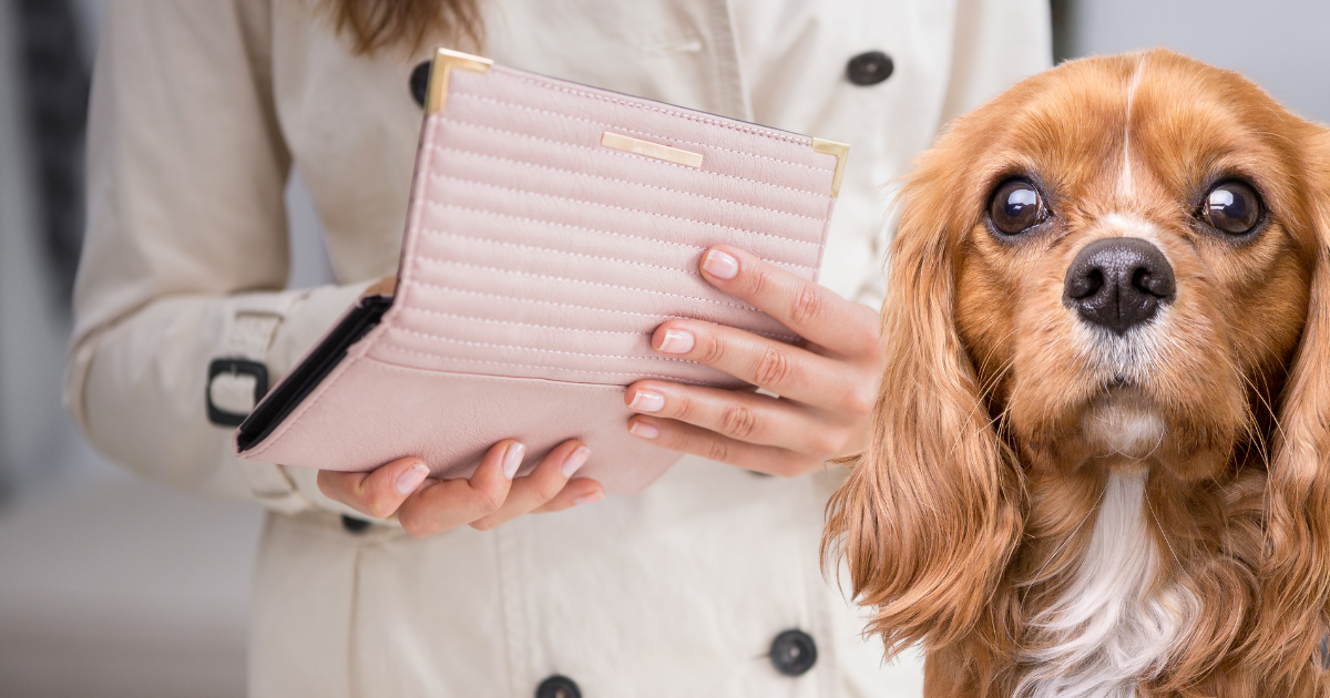 cheapest dog you can buy