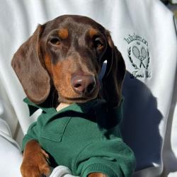 Past PetCloud client