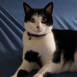 Past pet care client of Glenda in Wamuran, QLD