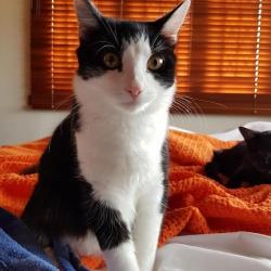 Past pet care client of Yaroslava in Runcorn, QLD