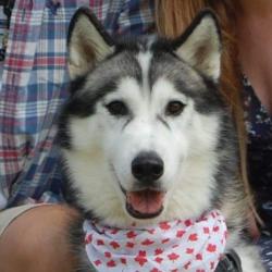 Past pet care client of Bridget in Bli Bli, QLD