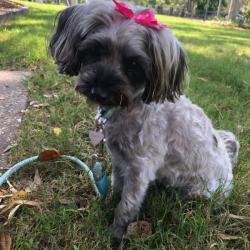 Past pet care client of April in Margate, QLD