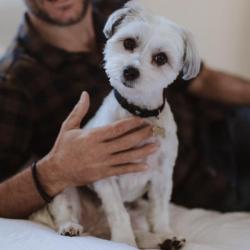 Past pet care client of Donna-Marie in Cannon Hill, QLD