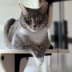 Past pet care client of Marnie in Redcliffe, QLD