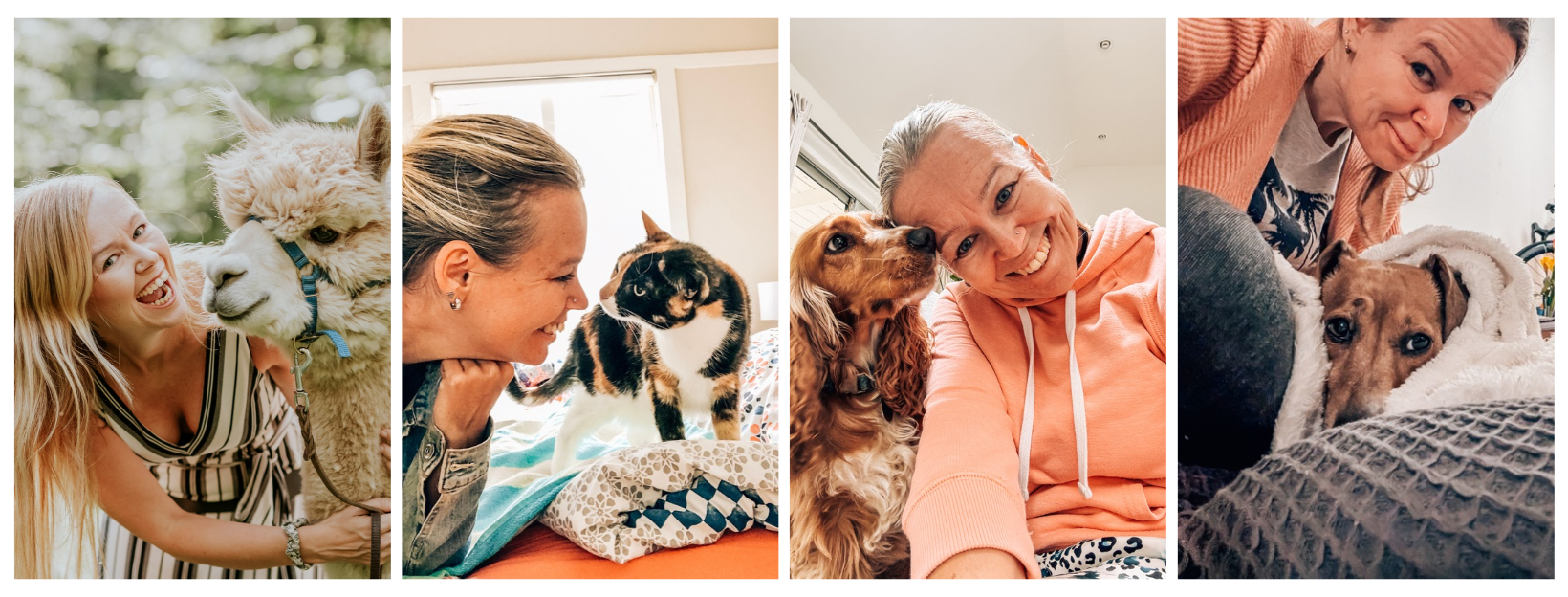 Susanne - Police Checked Pet Sitter & Dog Walker in Margate, QLD | PetCloud