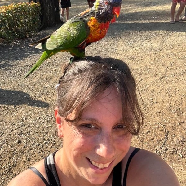Pet Sitter Review
