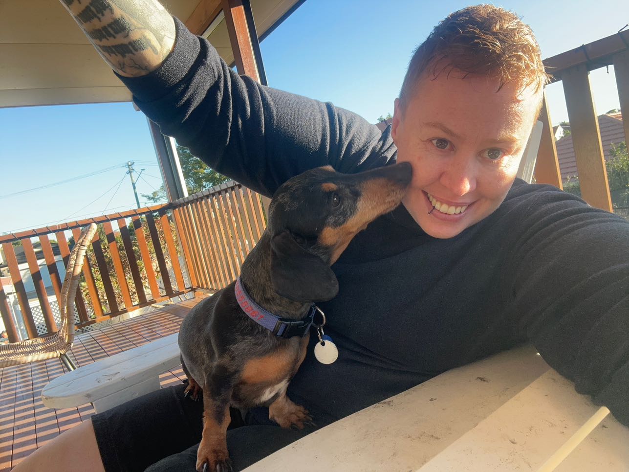 Pet Sitter Review