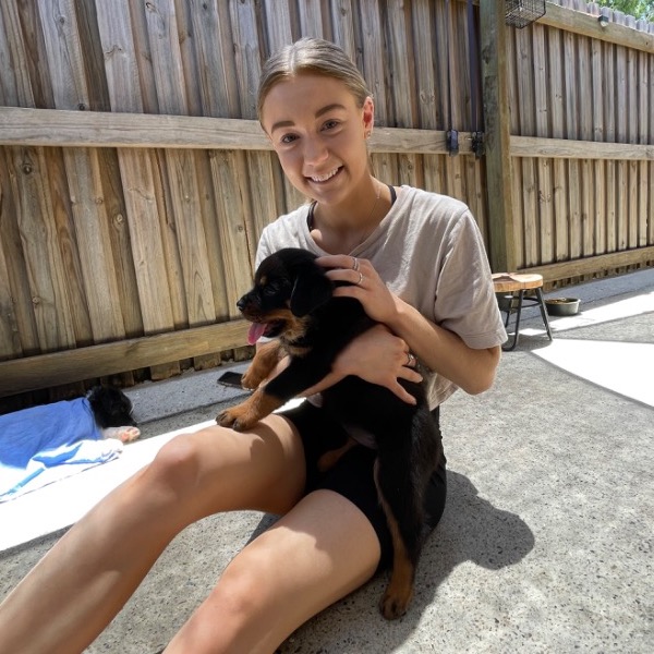 Pet Sitter Review