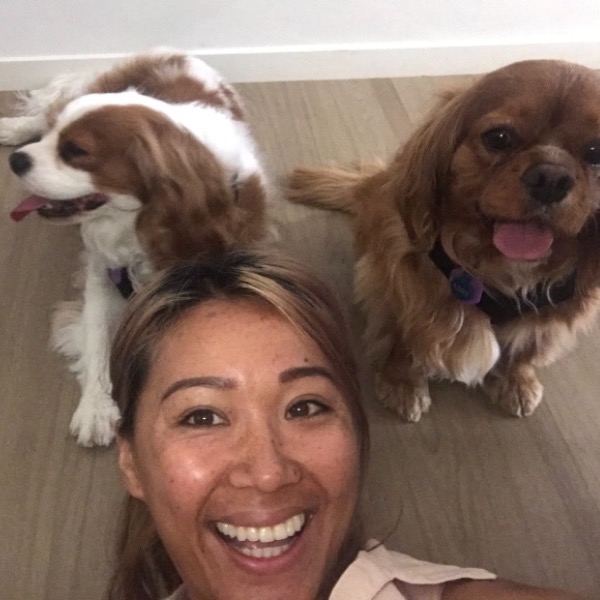 Pet Sitter Review
