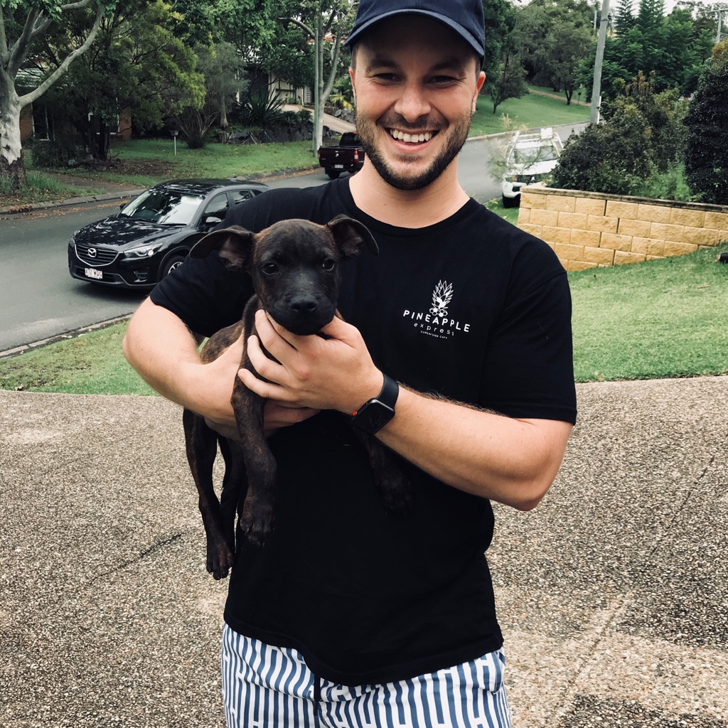 Pet Owner Review