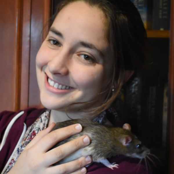 Pet Sitter Review