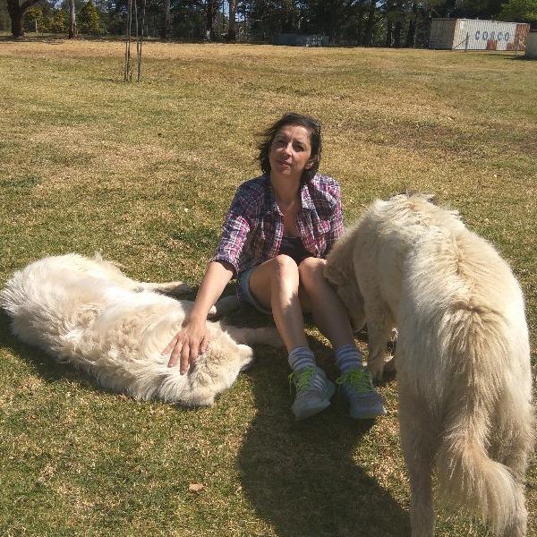 Pet Sitter Review