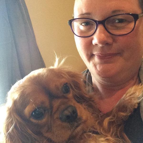 Pet Sitter Review