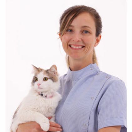 Pet Sitter Review