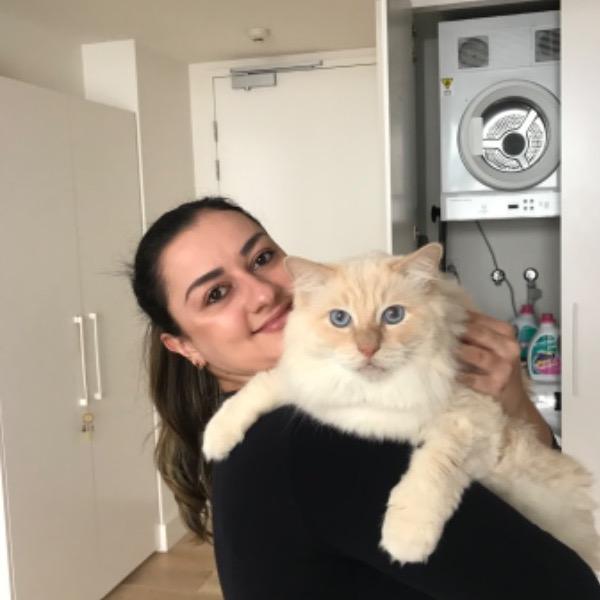 Pet Sitter Review