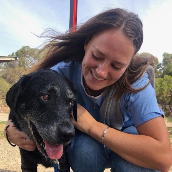 Pet Sitter Review