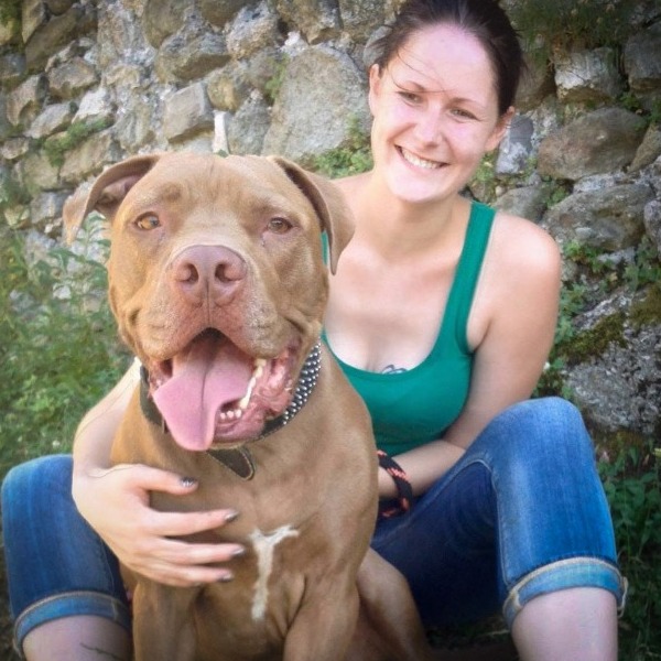 Pet Sitter Review