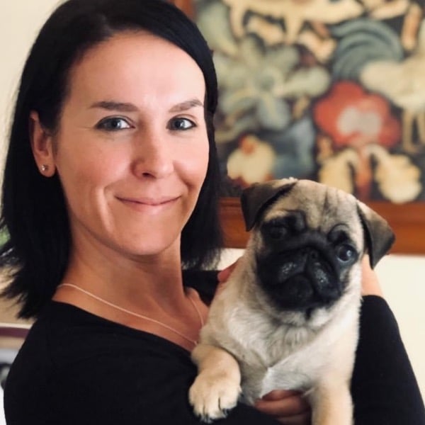 Pet Sitter Review
