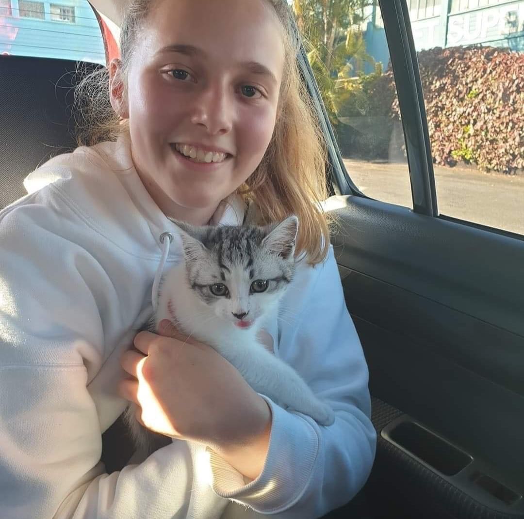 Pet Sitter Review