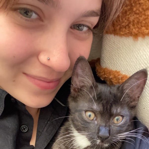 Pet Sitter Review