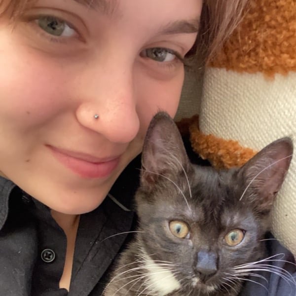 Pet Sitter Review