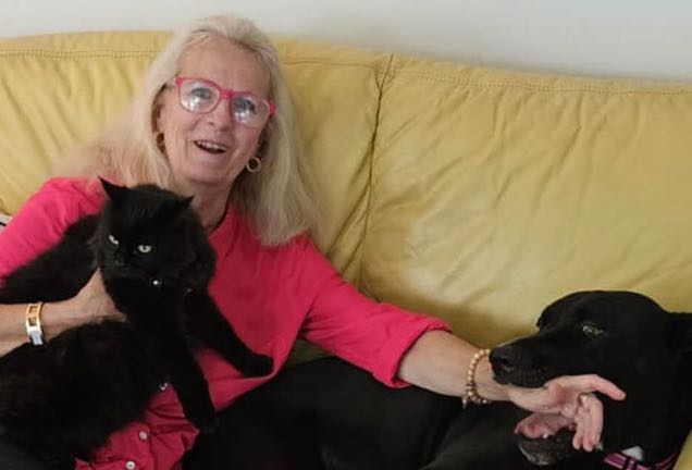 Pet Sitter Review