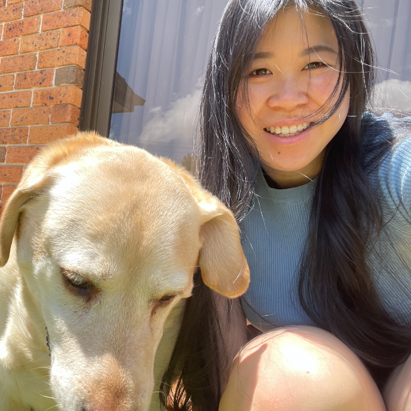 Pet Sitter Review