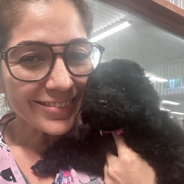 Pet Sitter Review