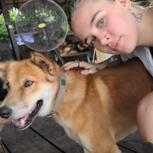 Pet Sitter Review