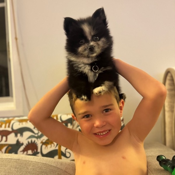 Pet Owner Review
