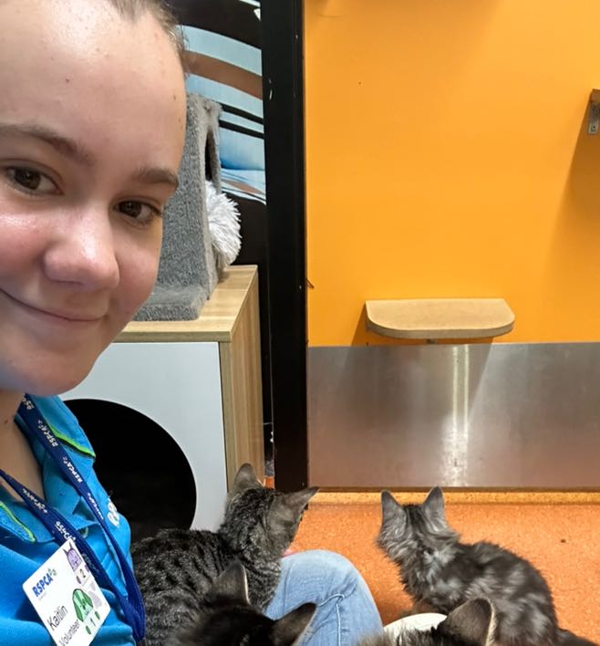Pet Sitter Review