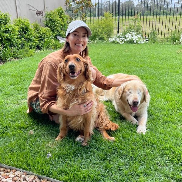 Pet Owner Review