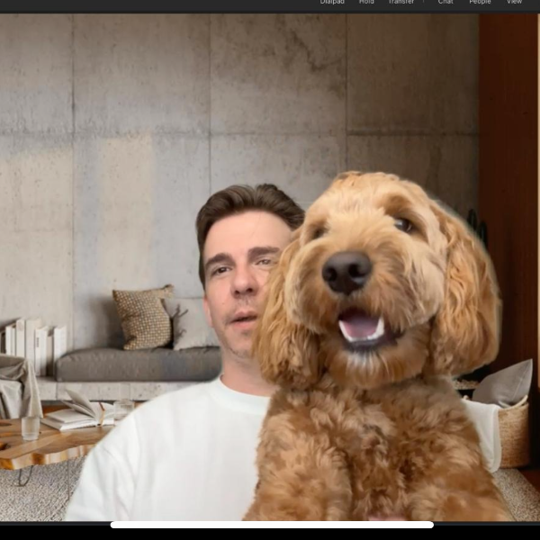 Pet Owner Review