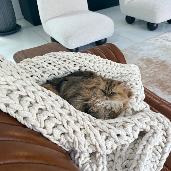 Pet Owner Review