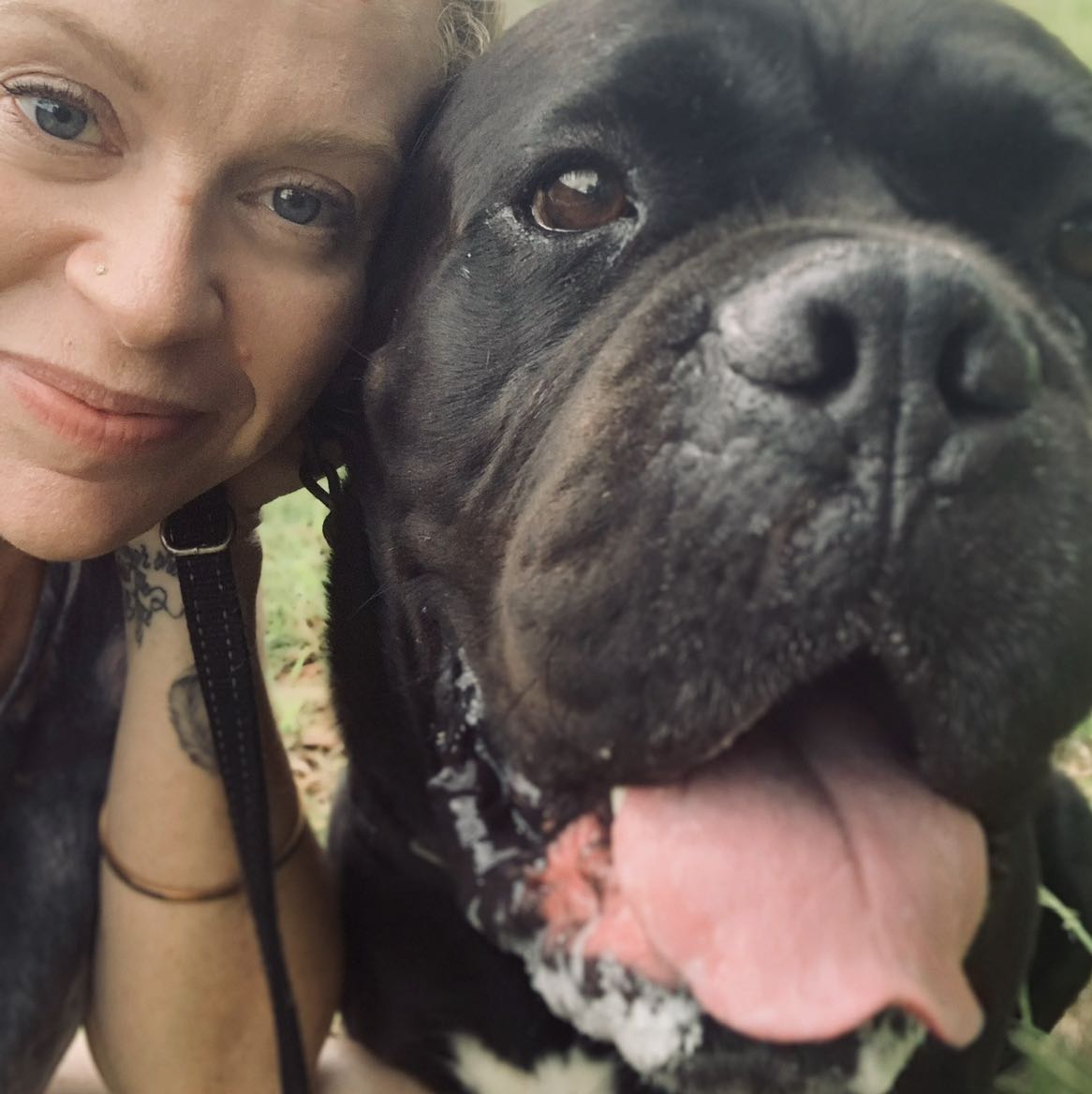 Pet Sitter Review