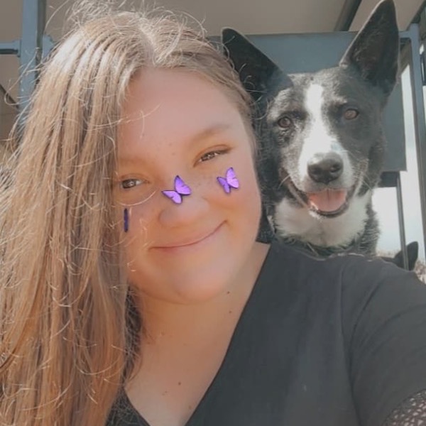 Pet Sitter Review
